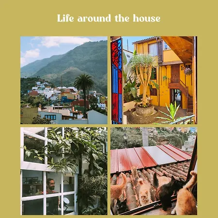 Tulia & Coworking Los Realejos