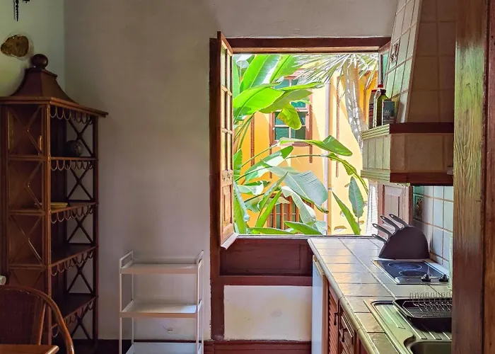 Tulia & Coworking 로스 레알레호스