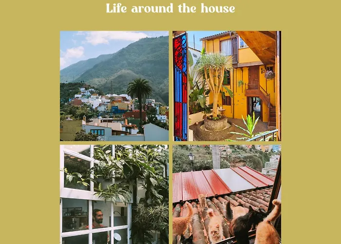 Tulia & Coworking 로스 레알레호스