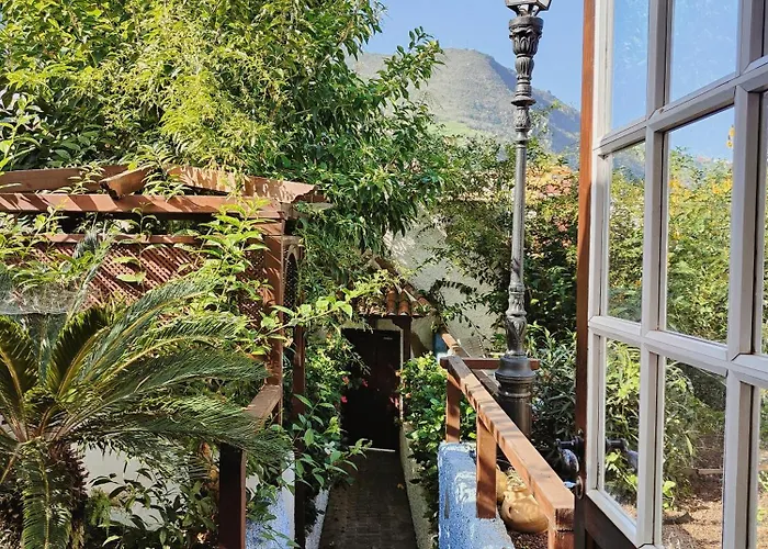 Tulia & Coworking * 로스 레알레호스