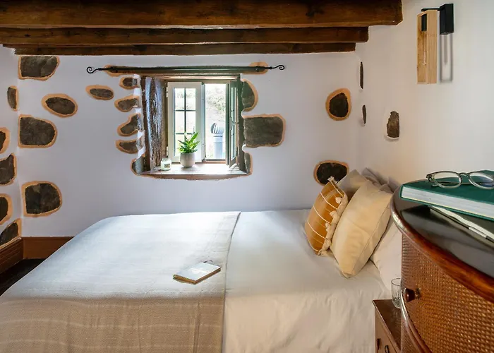 Апартаменты Tulia & Coworking Лос-Реалехос